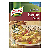 Knorr Salsa de curry 28g
