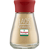 Verstegen Ground Laos  22g