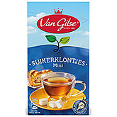 Van Gilse Sugar cubes mini 500g
