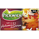 Pickwick Spices autumn storm 20 bags 40g