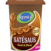 Remia Satay sauce ready-made 540g