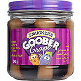 Smucker's raisin goober 340g