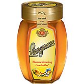 Langnese Bee honung gyllene klar 250g