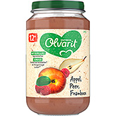 Olvarit Babynahrung Apfel, Birne und Himbeere 200g