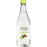 Tromp & Rueb Vinagre natural madurado en roble 750ml