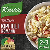 Knorr Mezcla de especias trattoria pechuga de pollo a la romana 250g