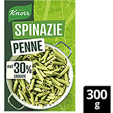 Knorr Spenat penne 300g