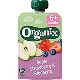 Organix Squeeze fruit apple strawberry & blueberry 6 months 100g