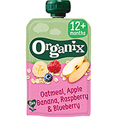 Organix Squeeze fruit oat apple banana 12+m 100g