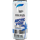 Celsius Sprudlende arktisk stemning 250ml