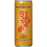 Equinox Stærk ingefær 250ml