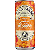 Fentimans Mousserende appelsinblomst 250ml