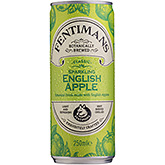 Fentimans Mousserende engelsk æble 250ml