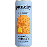Punchy Daglig hydrering blåbær 330ml