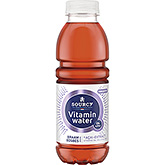 Sourcy Vitaminwater brombær blåbær 500ml