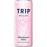 TRIP Mindful blander hyldeblomstmynte 250ml