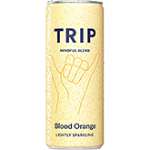 TRIP Mindful blander blodappelsin rosmarin 250ml