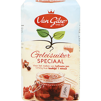 Van Gilse Jelly sugar special 500g