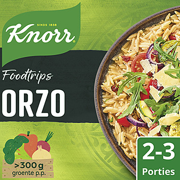 Knorr Foodtrips orzo 271g
