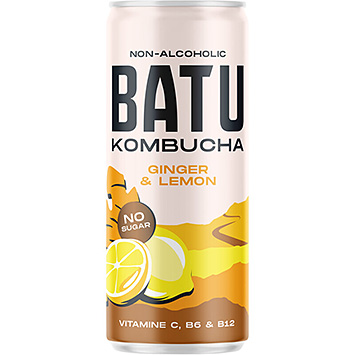 Batu Kombucha allo zenzero e limone 250ml