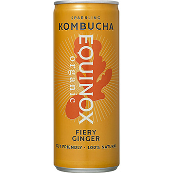Equinox Feuriger Ingwer 250ml