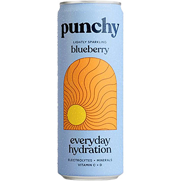 Punchy Tägliche Flüssigkeitszufuhr mit Blaubeeren 330ml